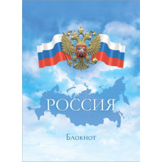 Блокноты, формат А5, количество листов 60, гребень, сплошной глянцевый УФ-лак Феникс+ арт. 47281	
