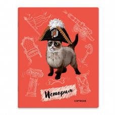 Тетрадь предметная, А5+, 48 л. вн.блок - клетка, выборочный ТВИН УФ-лак Феникс+ арт. 52174	
