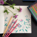 Карандаши BrunoVisconti® цветные,18  цветов  MultiColor Арт. 30-0003