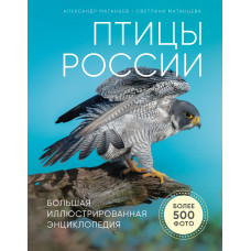 Александр Матанцев. Птицы России. Большая иллюстрированная энциклопедия