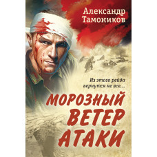 Александр Тамоников. Морозный ветер атаки