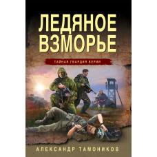 Александр Тамоников. Ледяное взморье