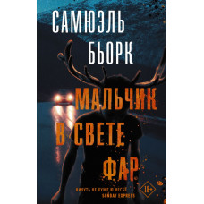 Бьорк С. Мальчик в свете фар