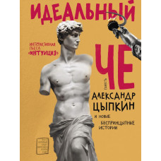 Цыпкин Александр Идеальный Че, Интуиция и новые беспринцыпные истории