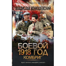 Конюшевский Владислав Николаевич Боевой 1918 год. Комбриг
