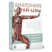 Уэйн Питер Анатомия тай-цзы. Руководство Гарвардской медицинской школы