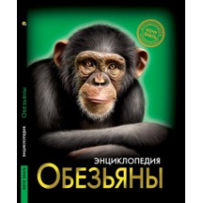 Соколова Л. Обезьяны