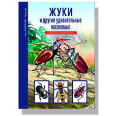 Афонькин С.Ю. Жуки и другие удивительные насекомые. Школьный путеводитель